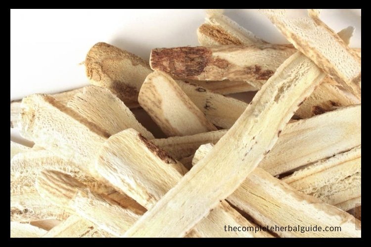 Health Benefits of the Astragalus Root (The Magic Traditional Chinese Herb)