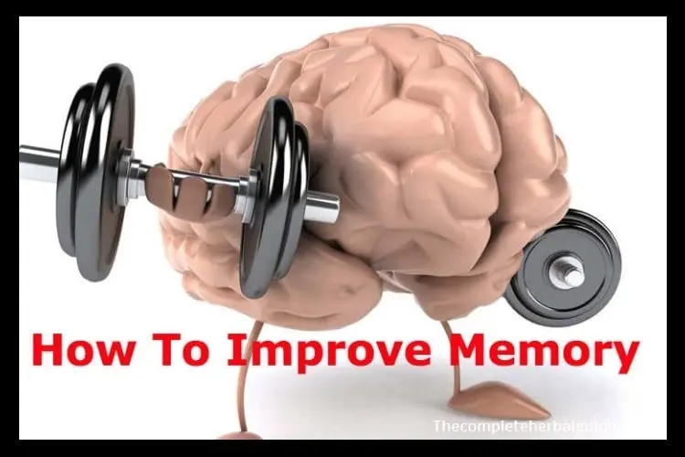 Top Tips for Improving Your Memory