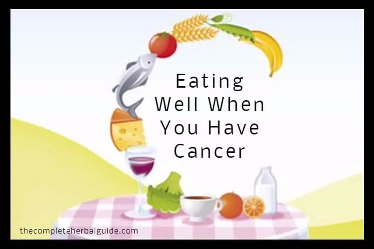 How To Eat Well When You Have Cancer