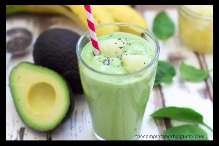 Today Learn How To Make A Delicious Avocado Smoothie Fast