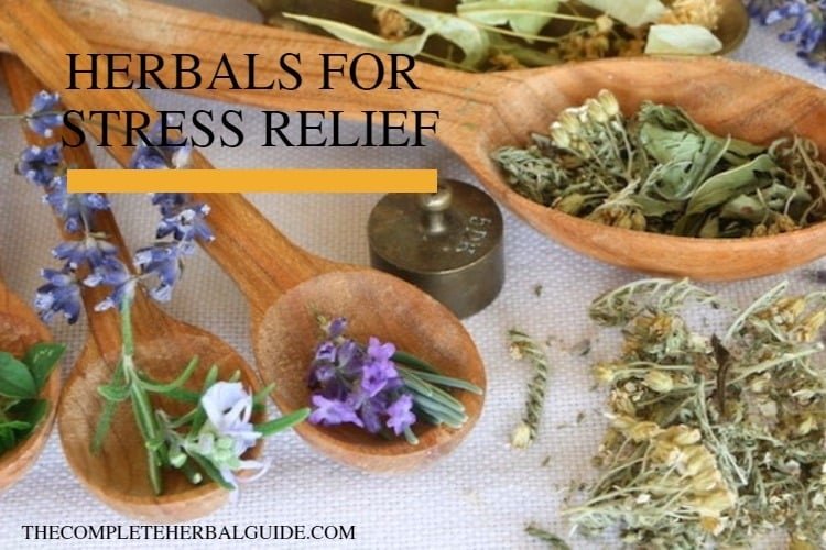 Anxiety and Herbal Remedies: 8 Herbal Remedies for Immediate Stress Relief
