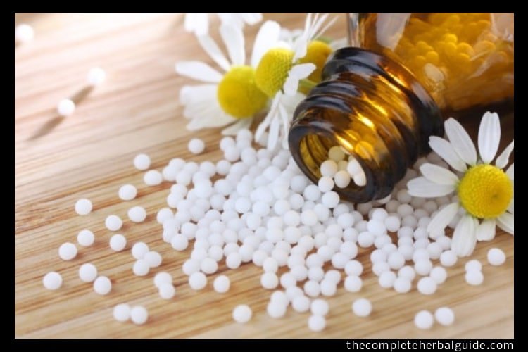 Sex Homeopathy: Homeopathic Medicine for Sex Power