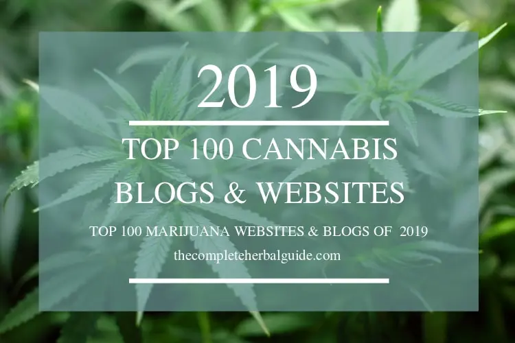 Best 100 Cannabis Blogs of 2019 To Follow