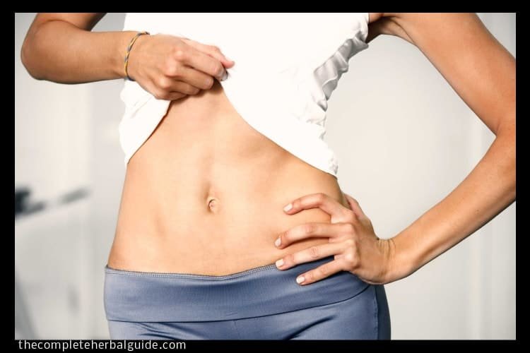 Top 10 Foods Which Will Control Your Belly From Becoming Fat