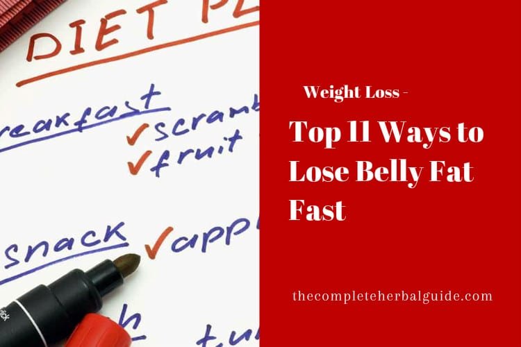 Top 11 Ways to Lose Belly Fat Fast