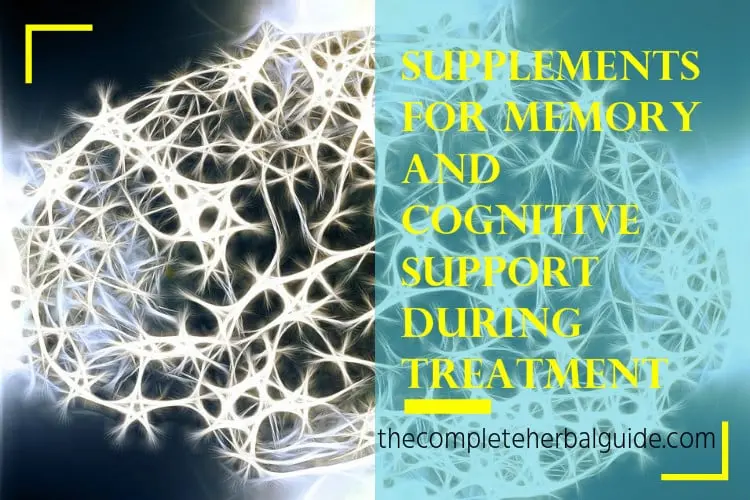 Supplements for Memory and Cognitive Support during Treatment