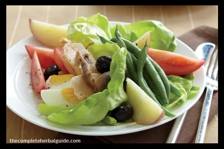 Healthy Salad Recipe for Weight Loss