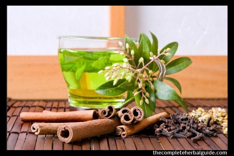 Why Green Tea is Best for Body Detox