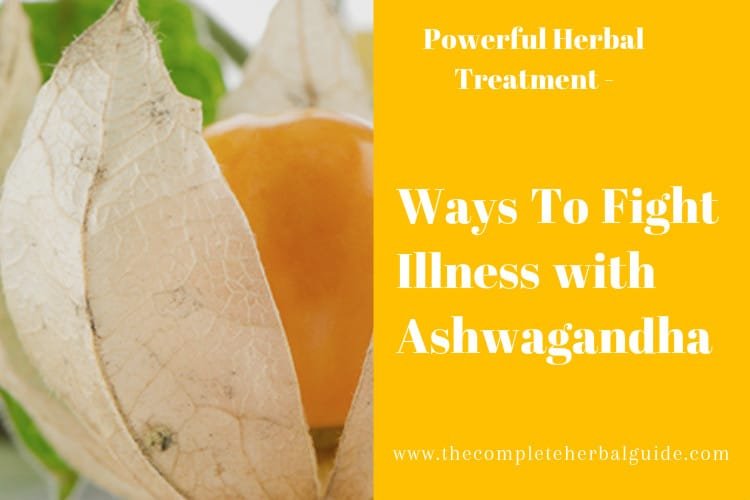 10 Proven Health Benefits of Ashwagandha
