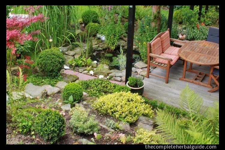 Garden Ideas for Your Own Whimsical Outdoor Area