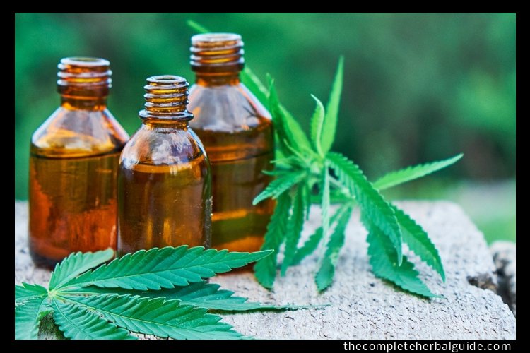What is CBD oil? The medicinal usages, benefits, and risks