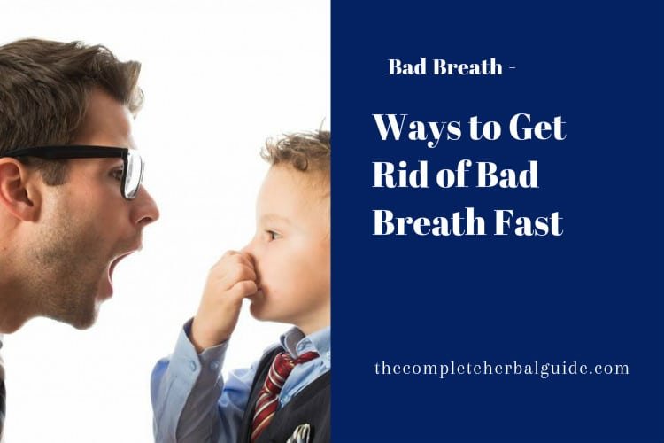 11 Ways to Get Rid of Bad Breath Fast