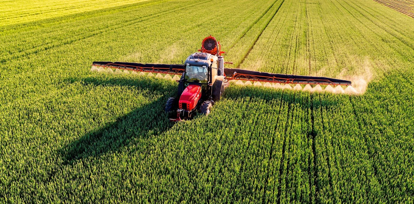 Au-delà de la loi Duplomb : débattre du droit à l’alimentation
