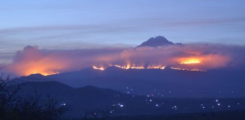 Fires shaped Mount Kilimanjaro's unique environment. Now they threaten it