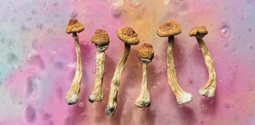 Psychedelics: how they act on the brain to relieve depression