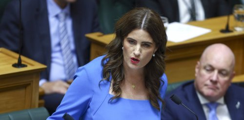 NZ Budget 2025 at a glance: follow the money here