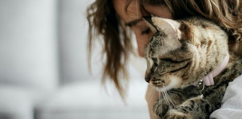 Just having a pet doesn’t help mental health – but pet-owners with secure relationships with their pets are less depressed