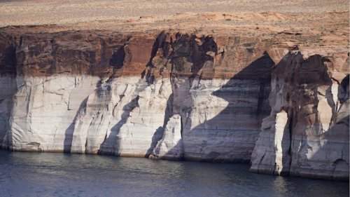 As climate change and overuse shrink Lake Powell, the emergent landscape is coming back to life – and posing new challenges