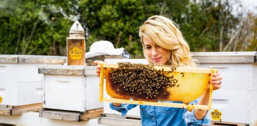  Over The Top Backlash Against TikTok s Bee Lady Not Justified Say Bee Experts Flipboard
