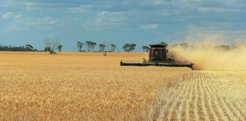 To boost the nation’s health, the government’s proposed food strategy must put people over profits