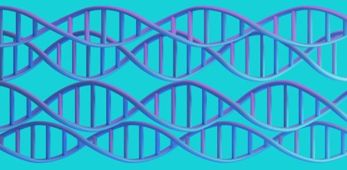 Trouble obsessionnel compulsif (TOC) : une nouvelle étude identifie plusieurs centaines de gènes associés