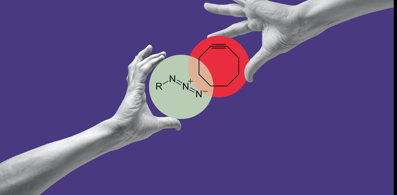 Nobel Prize: How click chemistry and bioorthogonal chemistry are transforming the pharmaceutical and material industries