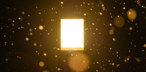 Physicists at the Large Hadron Collider turned lead into gold – by accident