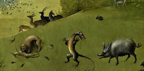 La biodiversidad de hace 450 años: lo que había y lo que hemos perdido