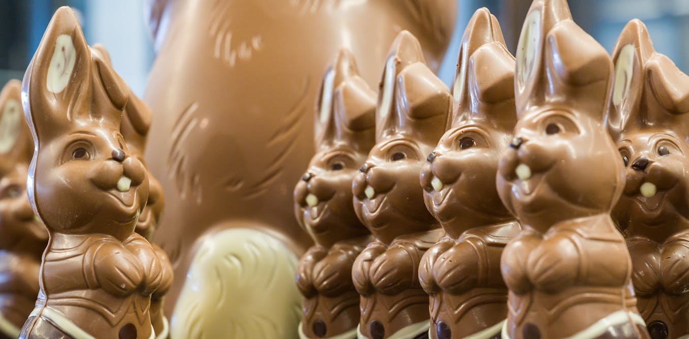 Easter bunnies, cacao beans and pollinating bugs: 6 reads about chocolate - cover