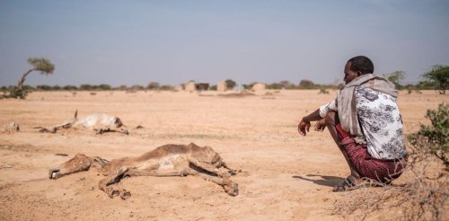 Is eastern Africa's drought the worst in recent history? And are worse yet to come?