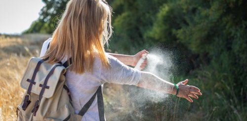 Japanese encephalitis has claimed a second life in NSW and been detected in Brisbane. What is it?