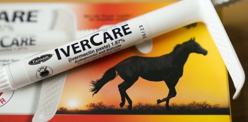 Ivermectin isn't a cancer miracle drug, but influencers claim otherwise