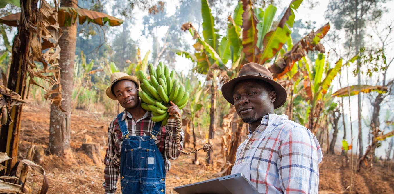 Comment les gouvernements africains soutiennent-ils l’agriculture ?