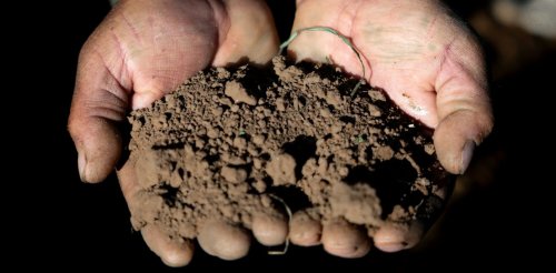 Les sols, face cachée de la pollution par les PFAS. Et une piste pour les décontaminer