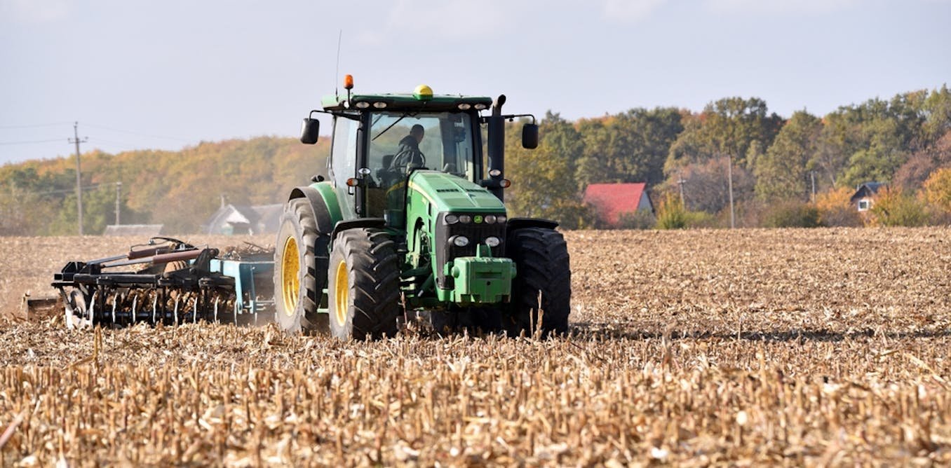 Sols appauvris : l’autre menace qui pèse sur l’agriculture ukrainienne