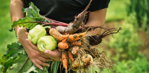 Quels légumes sont les plus riches en fibres et pourquoi il est important d’en consommer suffisamment ?