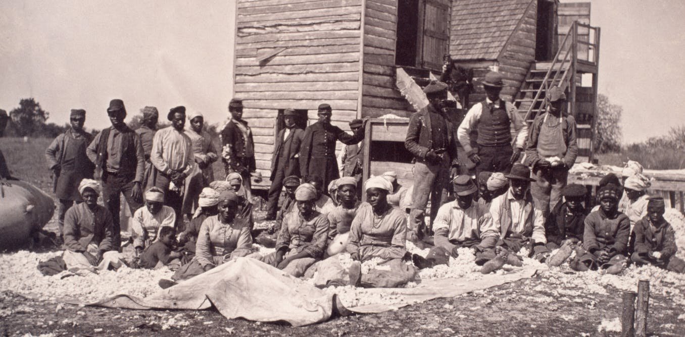 Land loss has plagued black America since emancipation – is it time to look again at 'black commons' and collective ownership?