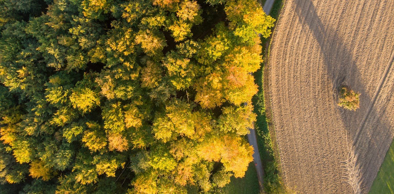 Faut-il partager ou épargner les terres ? Pourquoi le dilemme agriculture-biodiversité est dépassé