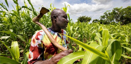 Photoreportage : Au Burkina Faso, un laboratoire à ciel ouvert pour la transition agroécologique