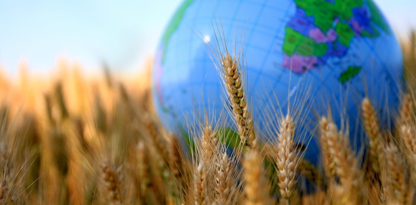 De 1992 à 2022, la laborieuse intégration de l’agriculture aux négociations climatiques