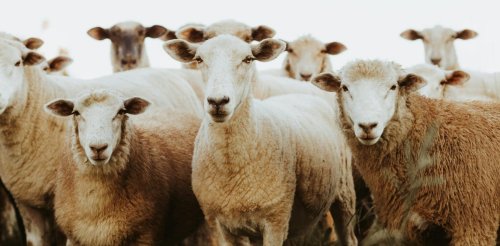 Is your AI chatbot manipulating you? Subtly reshaping your opinions?