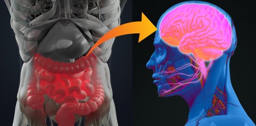 Your gut microbiome may be linked to dementia, Parkinson's disease and MS