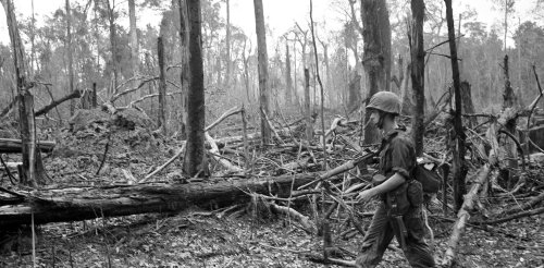 50 years later, Vietnam’s environment still bears the scars of war – and signals a dark future for Gaza and Ukraine