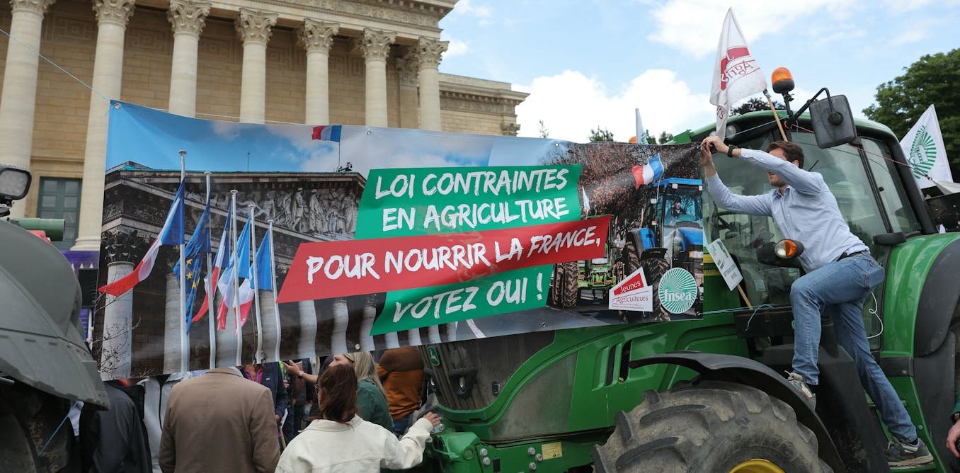 Loi Duplomb et pesticides : comment la FNSEA a imposé ses revendications