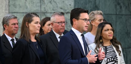 Nationals declare they will oppose the 'Voice' referendum