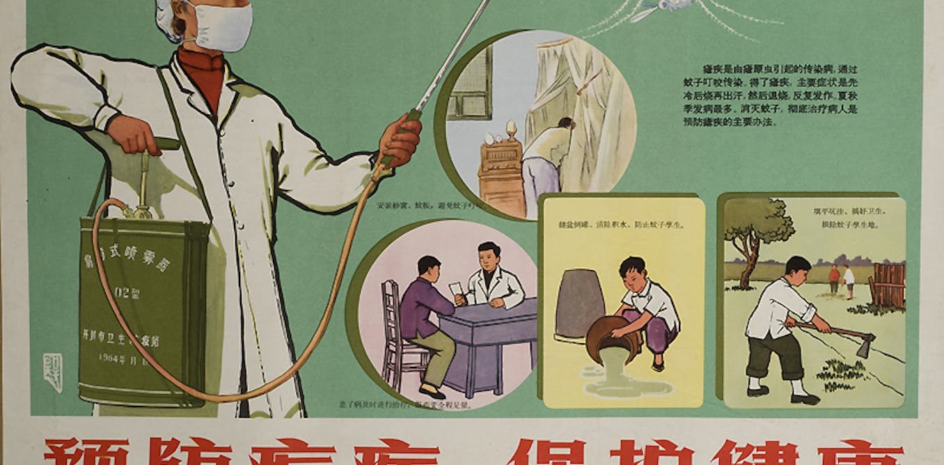 The secret Maoist Chinese operation that conquered malaria – and won a Nobel