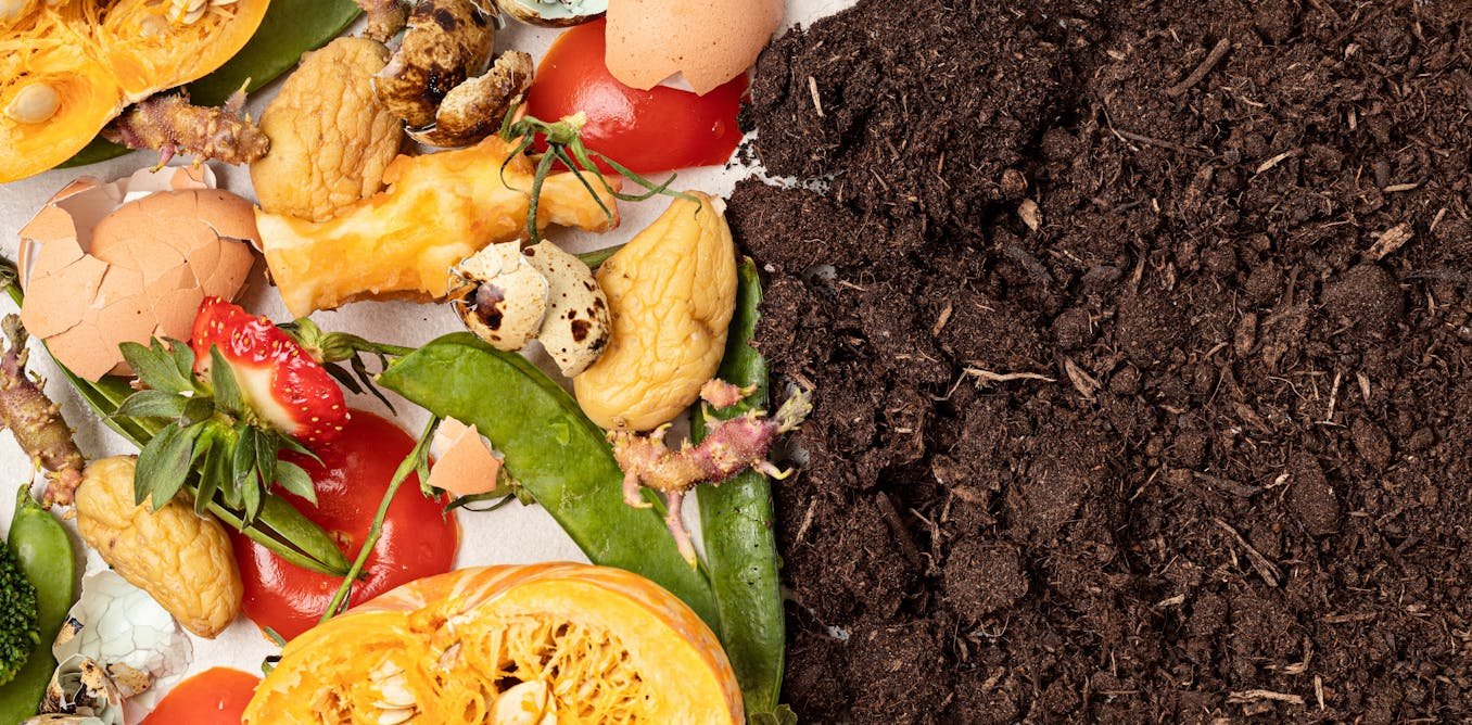 Tri à la source : comment les collectivités gèrent-elles les déchets alimentaires