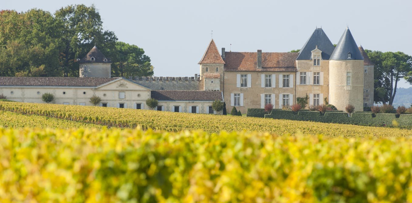 La dynastie familiale des Lur Saluces aux origines du château d’Yquem