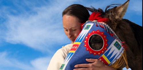 Archaeology and genomics together with Indigenous knowledge revise the human-horse story in the American West