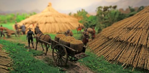 How human connections shaped the spread of farming among ancient communities
